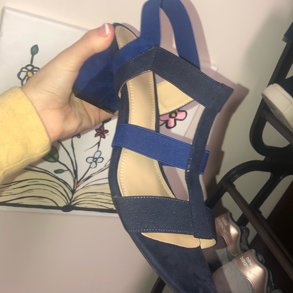 Blue and Navy Sandals